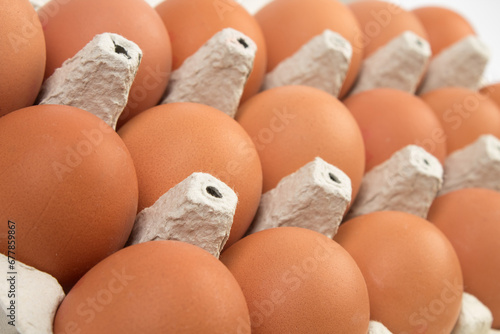 brown hen eggs in carton box isolated on white background. photo