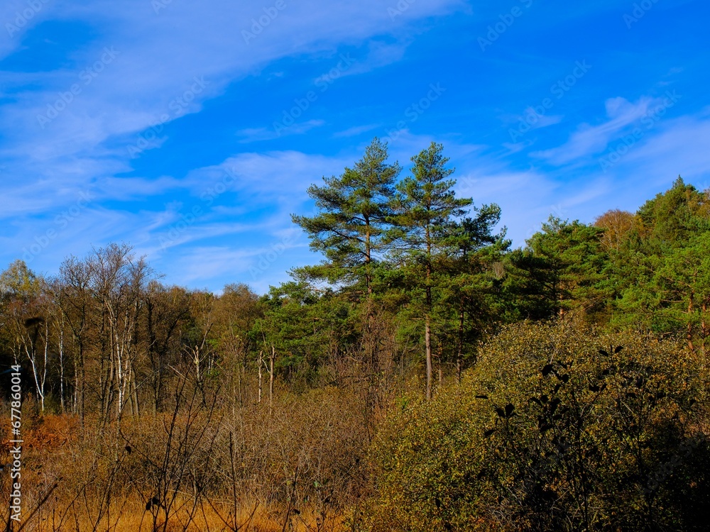 Herbst im deutschen Wald mit vielen bunten Farben Herbst im deutschen Wald mit vielen bunten Farben