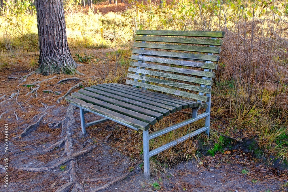 Herbst im deutschen Wald mit vielen bunten Farben Herbst im deutschen Wald mit vielen bunten Farben