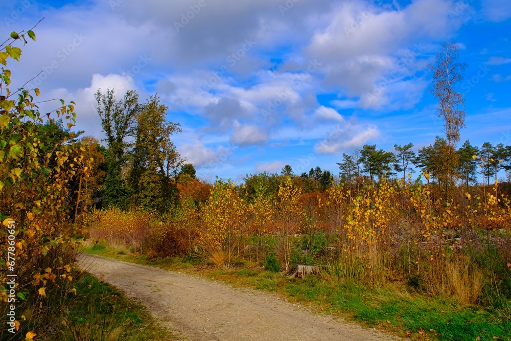 Herbst im deutschen Wald mit vielen bunten Farben Herbst im deutschen Wald mit vielen bunten Farben