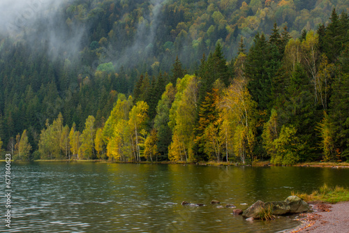 reflections with forest in autumn lake, Sf Ana lake