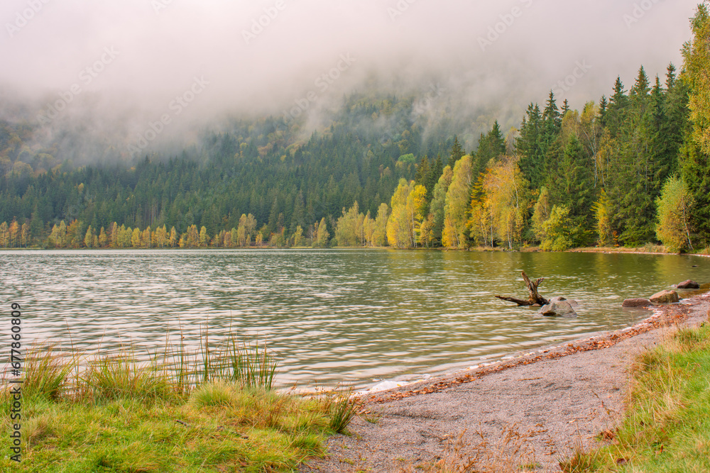reflections with forest in autumn lake, Sf Ana lake