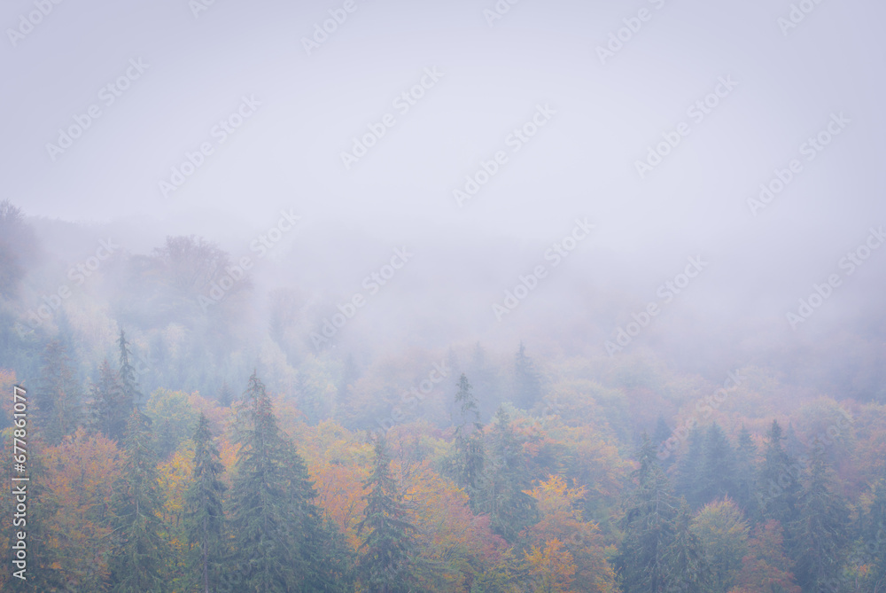 the beautiful autumn colored forest, St. Ana lake