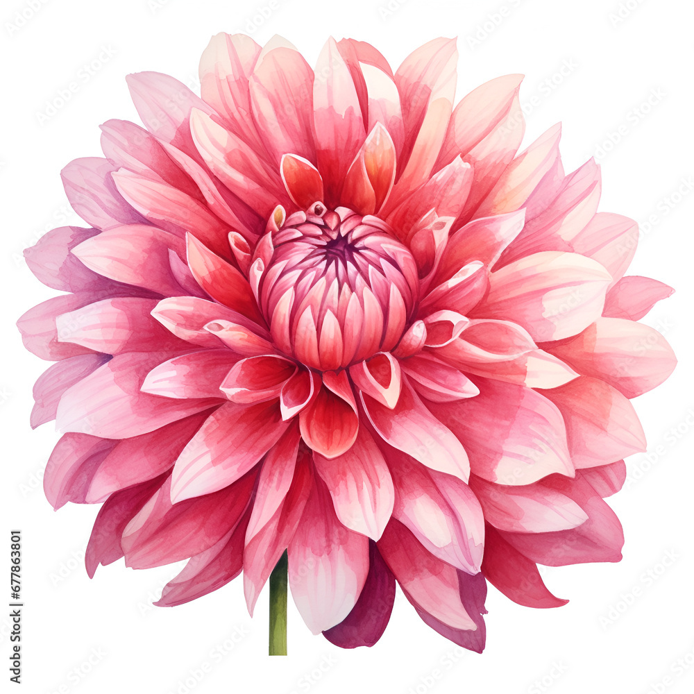 flower bouquet,isolated on white background ,ai generated flower bouquet,isolated on white background ,ai generated