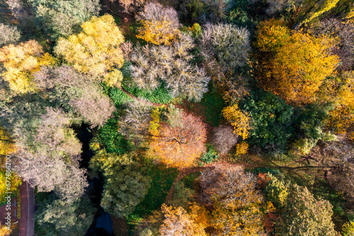 Fototapeta Naklejka Na Ścianę i Meble -  Beautiful autumn forest landscape from a drone in Poland.