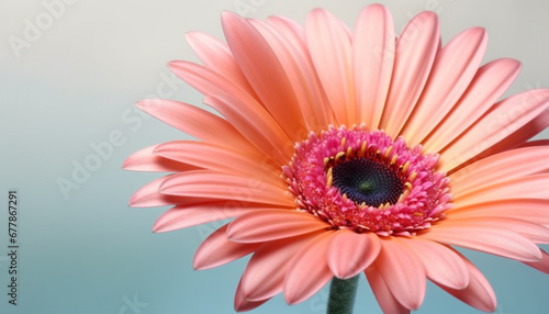 Vibrant gerbera daisy blossom  gift of love and beauty generated by AI