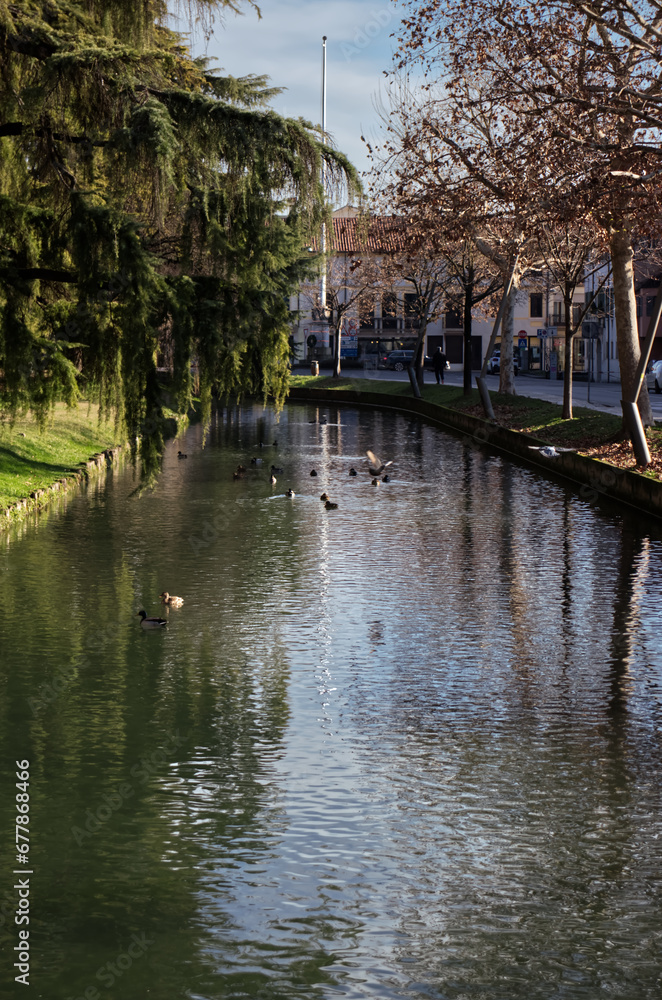 Castelfranco Veneto Italy