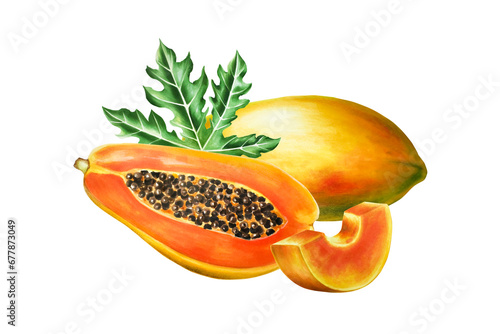 Watercolor sweet ripe composition with slice, half papaya and leafs. Hand drawn realistic tasty marker illustration of exotic tropical fruit isolated on background. For designers, decor