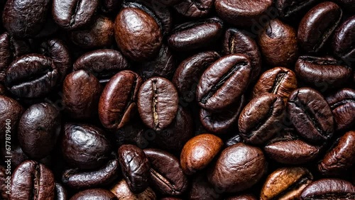 Coffee beans robusta stock video footage 4k photo