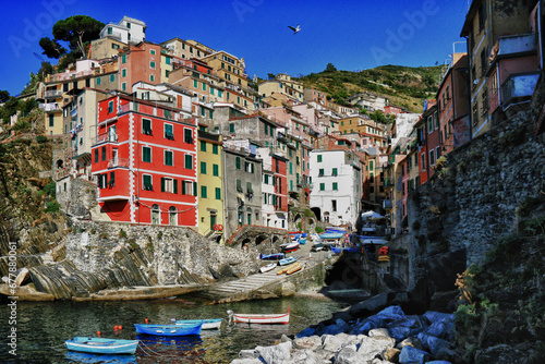 Village and harbour view, Riomaggiore, La Spezia, Cinque Terre, Liguria, Italy photo