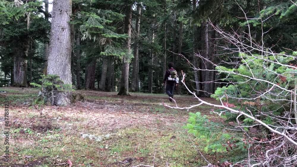 Backpacker walking in a forest and looking around for a place to camp Backpacker walking in a forest and looking around for a place to camp