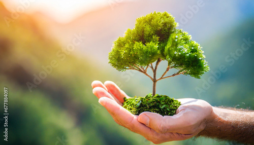 hand of human holding growing tree reduce co2 emission concept clean and environmentally friendly environment without carbon dioxide emissions net zero emissions photo