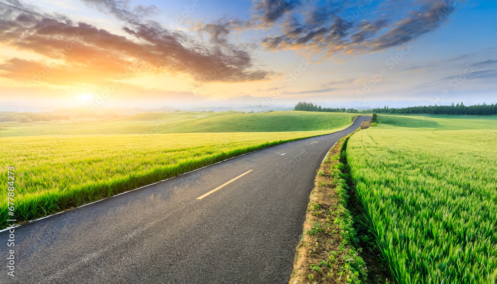 country road and green wheat fields natural scenery at sunrise
