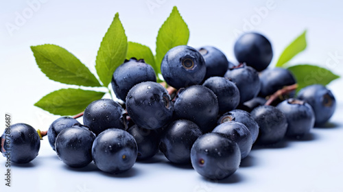 Saskatoon Berry Natural Colors , Background For Banner, HD