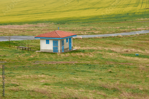Obraz na płótnie yellow field of rape blossoms in the spring w salonie