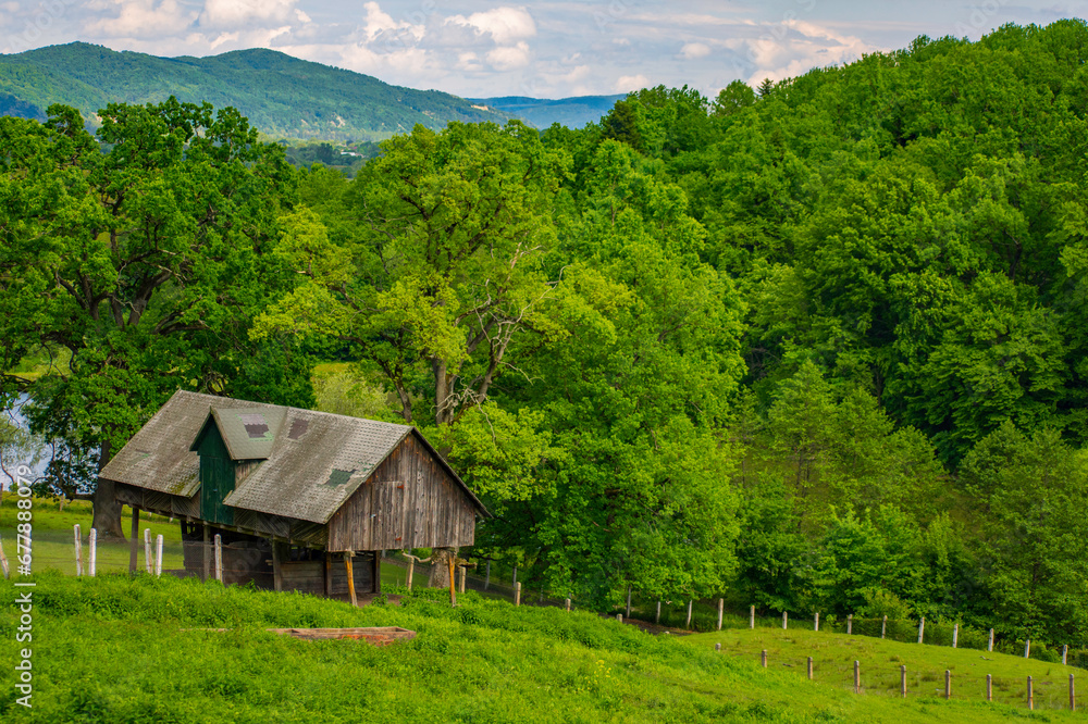 summer mountain landscape in Romania
