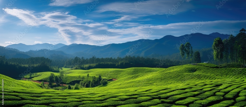 background the sky was a breathtaking canvas as I embarked on a journey to travel through the serene beauty of nature passing by towering trees and picturesque landscapes bathed warm glow o background the sky was a breathtaking canvas as I embarked on a journey to travel through the serene beauty of nature passing by towering trees and picturesque landscapes bathed warm glow o