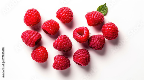 Raspberry Natural Colors , Background For Banner, HD