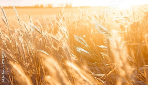 Golden wheat fields ripe for harvesting in tranquil non urban landscape generated by AI