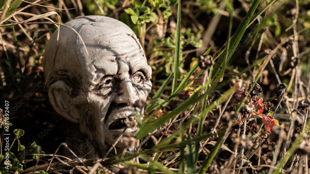 Plastic Halloween face decoration nestled in the grass, creating a spooky and festive garden scene Plastic Halloween face decoration nestled in the grass, creating a spooky and festive garden scene