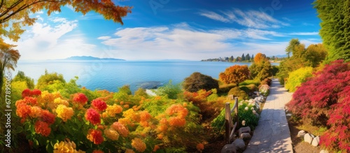 beautiful autumn garden the lush green leaves of plants added a vibrant contrast to the cream colored flowers creating a picturesque landscape against the backdrop of a blue sky and serene i photo