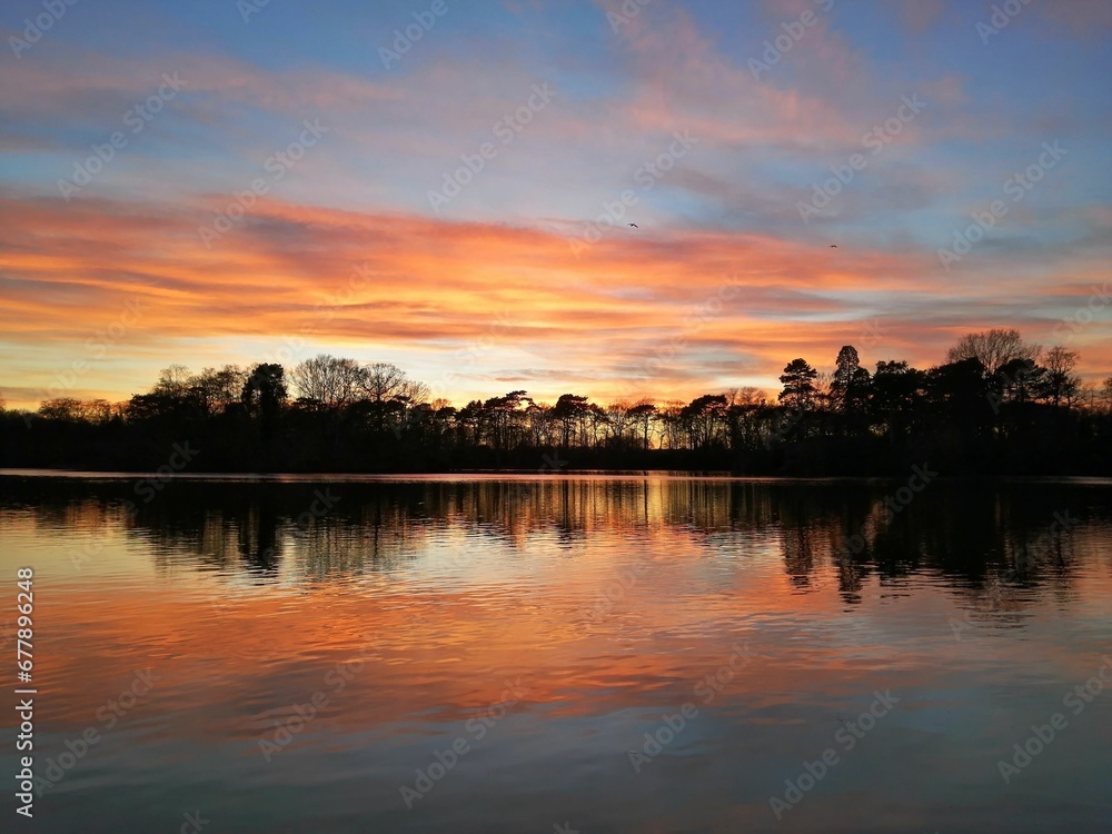 Landscape of a lake surrounded by trees during the sunset