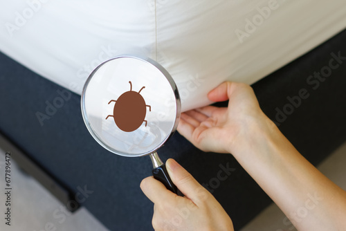 ベッドのマットレスの害虫を調べる女性の手元 photo