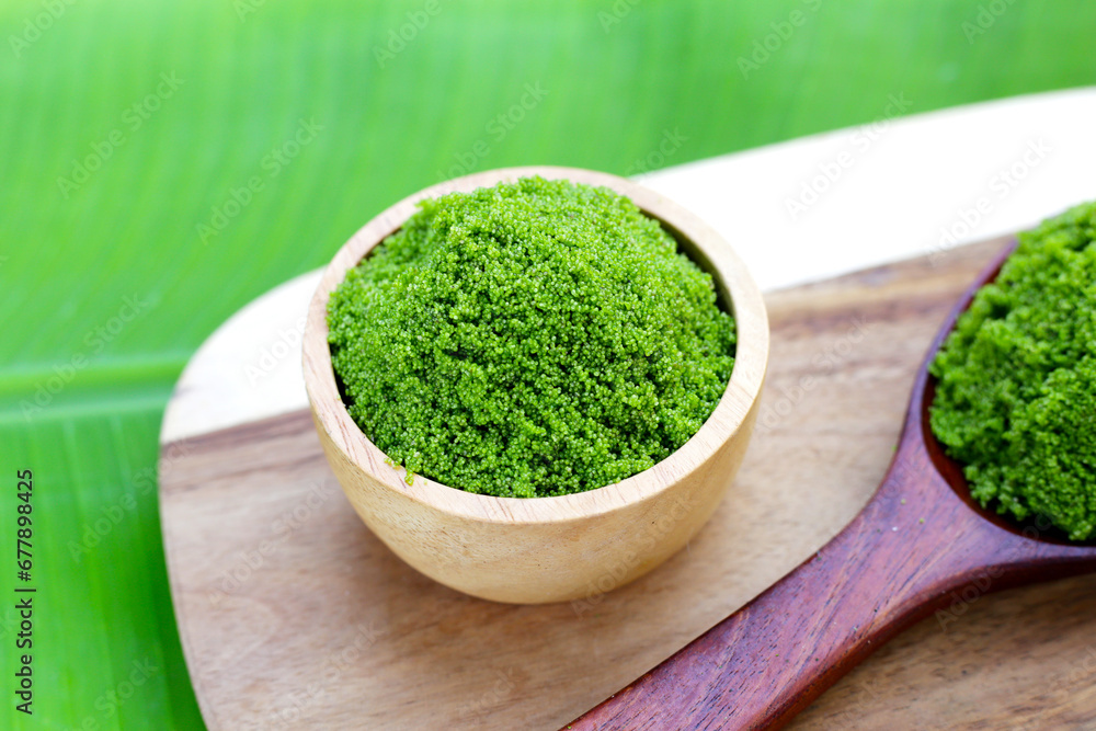 Wolffia globosa or swamp algae, water meal Wolffia globosa or swamp algae, water meal