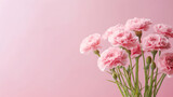 Dianthus Natural Colors , Background For Banner, HD