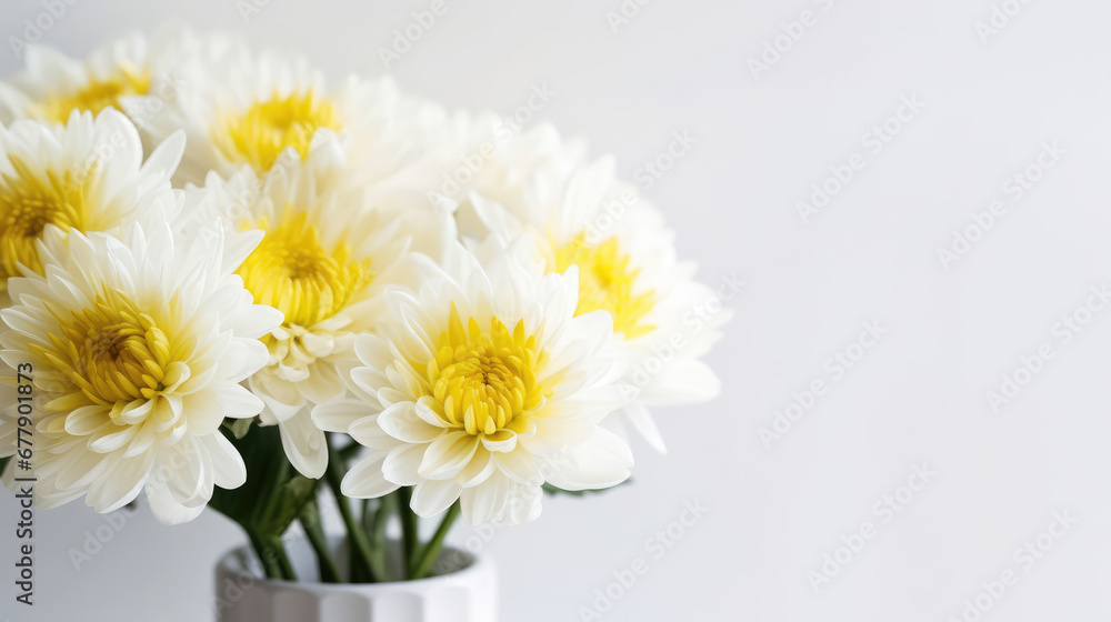 Obraz premium Chrysanthemum Natural Colors Minimalist , Background For Banner, HD