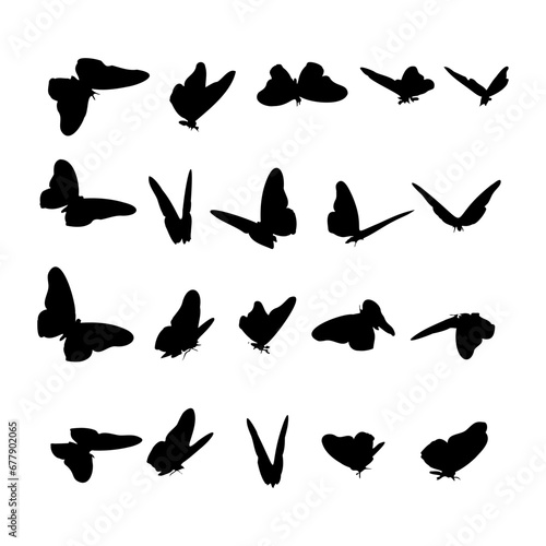 set of silhouettes of butterflay vector, isolated white bacground eps 10 photo
