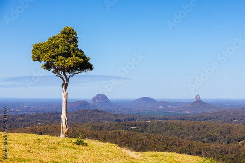 One Tree Hill in Queensland Australia photo