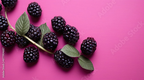 Boysenberry  Natural Colors Minimalist, Background For Banner, HD