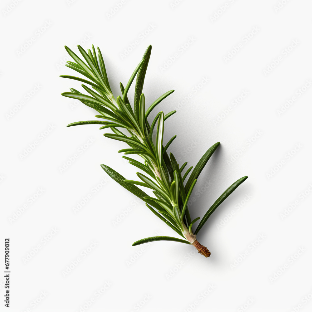 Fototapeta premium Fresh rosemary showcased with quality lighting on a white background.generative ai