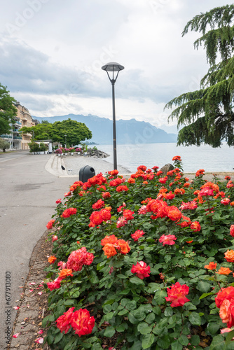 Panorama from town of Vevey to Lake Geneva  Switzerland