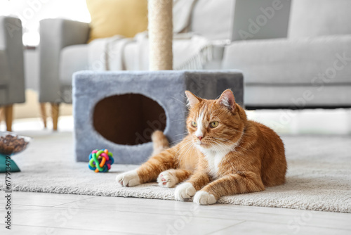 Cute cat lying near scratching post at home photo