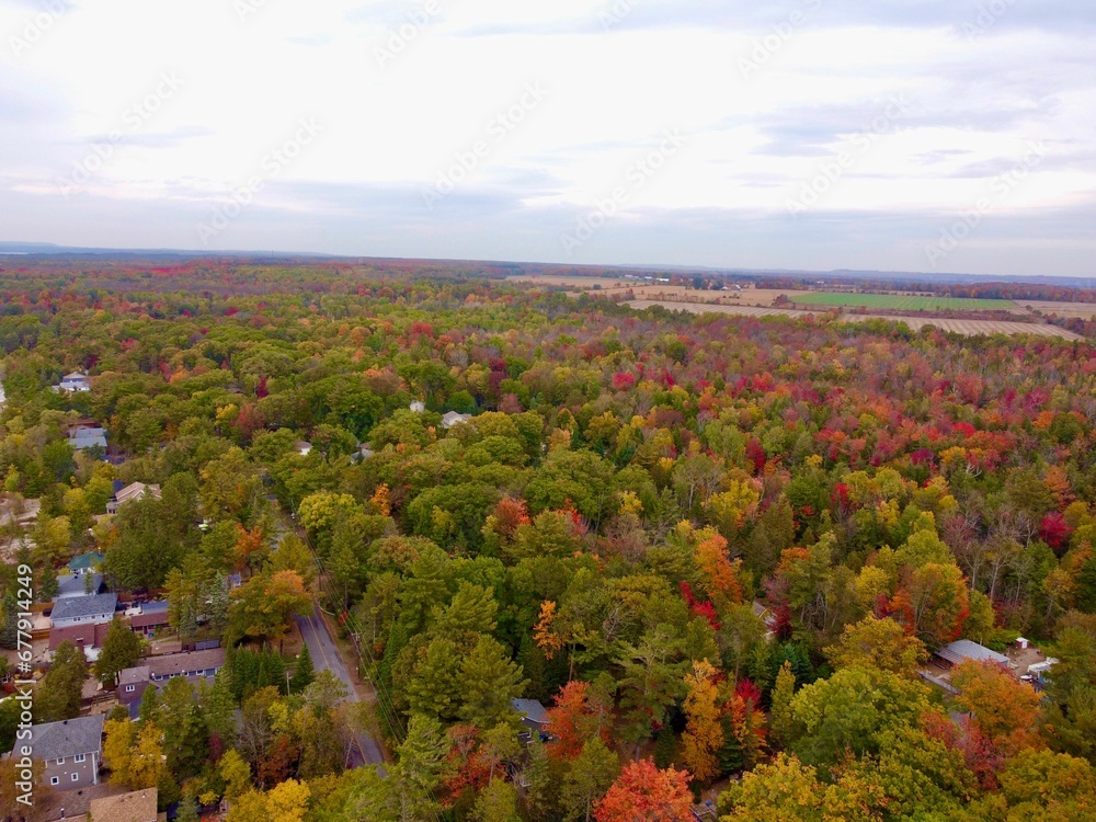 Aerial view of the colorful autumn trees on a cloudy sky Aerial view of the colorful autumn trees on a cloudy sky