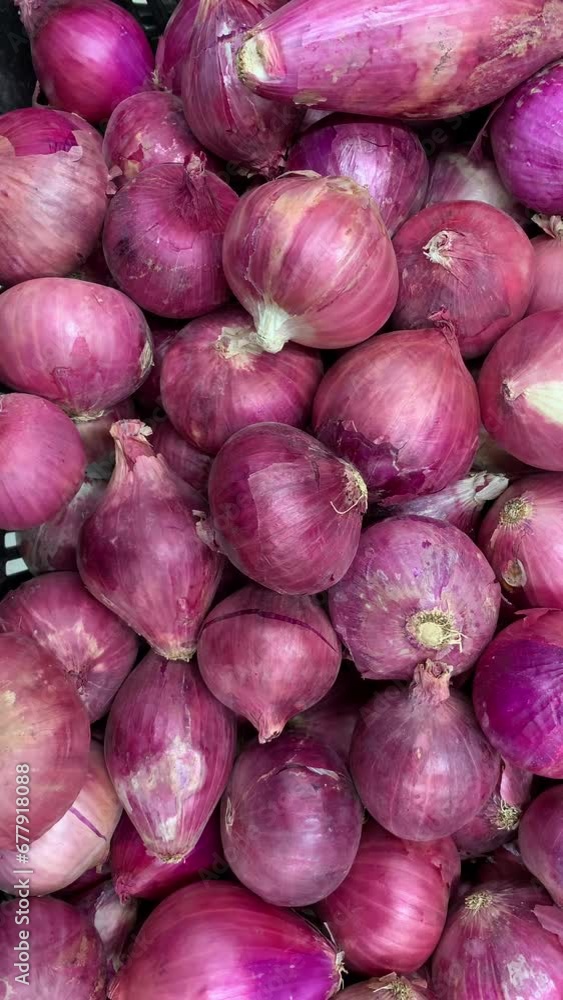 Video of onions for sale at a local market. Food concept. Video of onions for sale at a local market. Food concept.