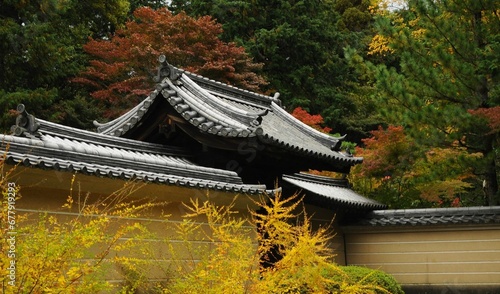 Beautiful shot of a Japanese temple roof in an autumn park in Kyoto