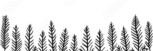 Christmas background sketch. Fir branches hand drawn sketch isolated over white.