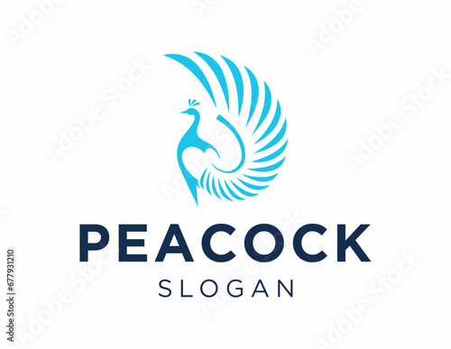 Logo about Peacock created using the CorelDraw application. on a white background.