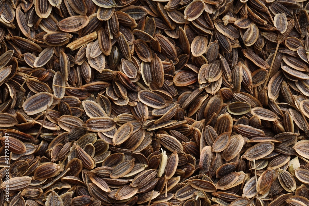 Many dry dill seeds as background, top view Many dry dill seeds as background, top view