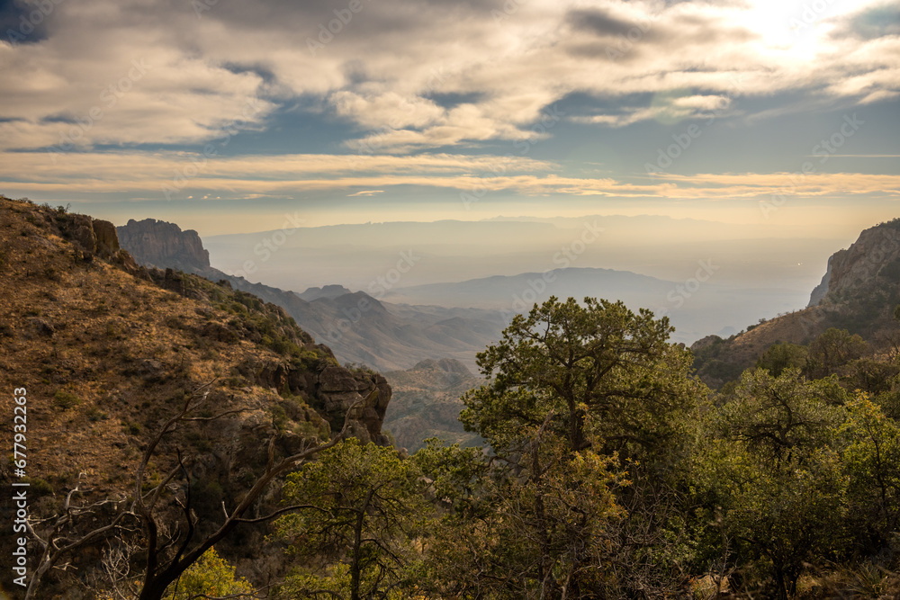 Trees in the Chisos Mountains Over Boot Canyon