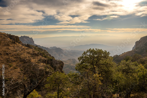 Trees in the Chisos Mountains Over Boot Canyon