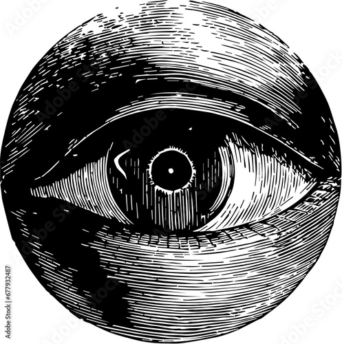 eyeball vector illustration