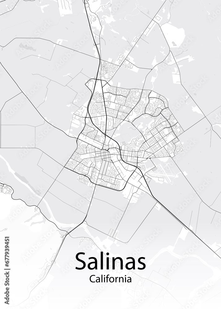 Salinas California minimalist map