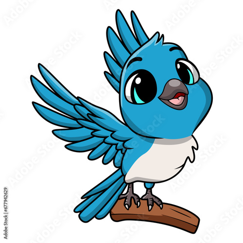 Cute blue jay cartoon on white background