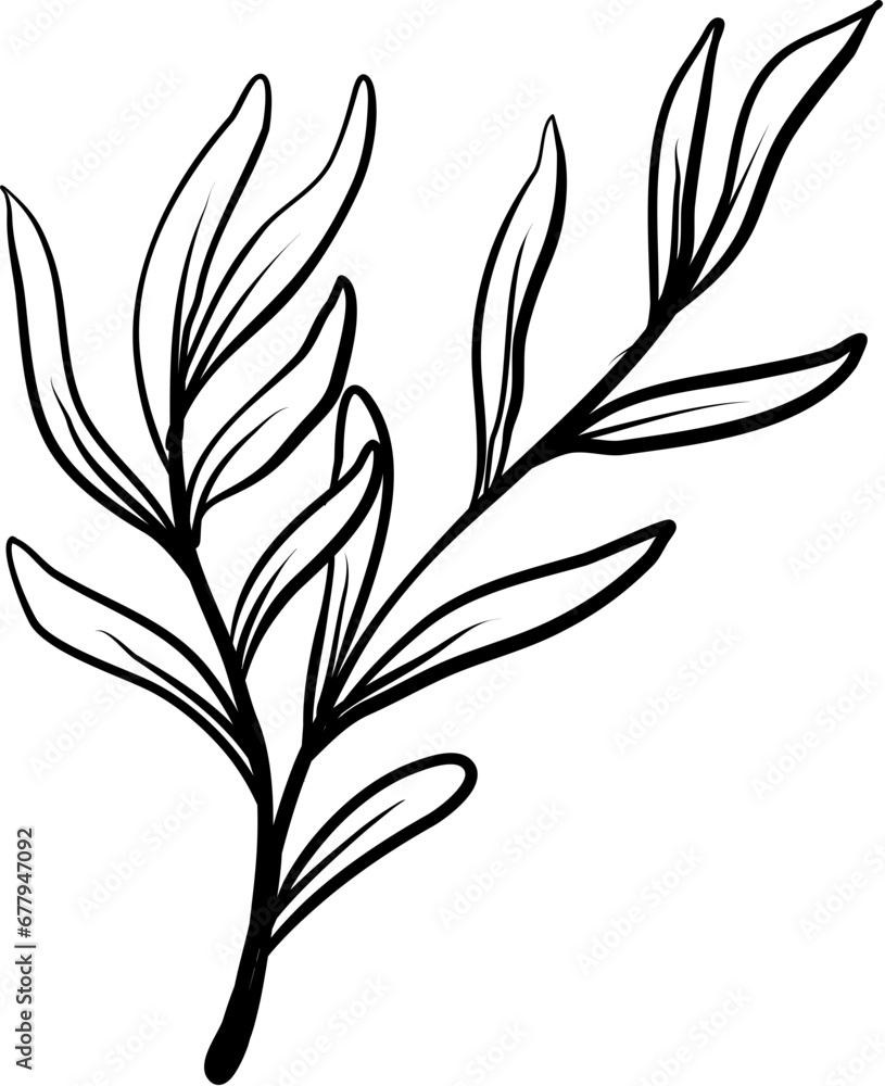 flower flower