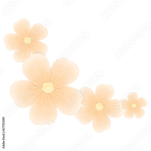 orange flower blossom © Kanokpbubliss
