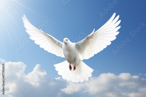 Dove in the air with wings wide open in-front of the sun